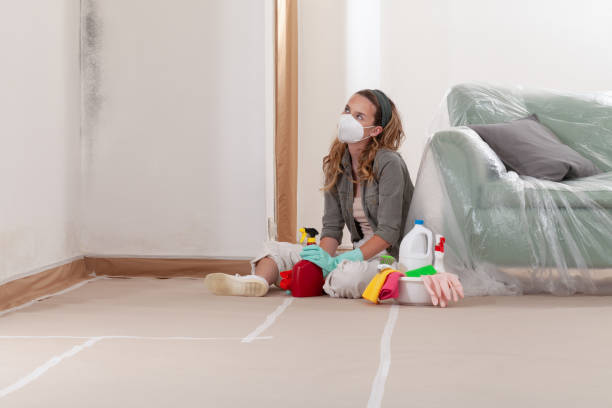 Reliable Mold Removal contractor in Winthrop, MA by WQB Mold Removal